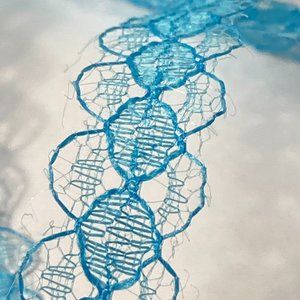 Blue Petite Lace Trim 12 Rolls Offray Crafts Scrapbook Card Making Gift 7/16"